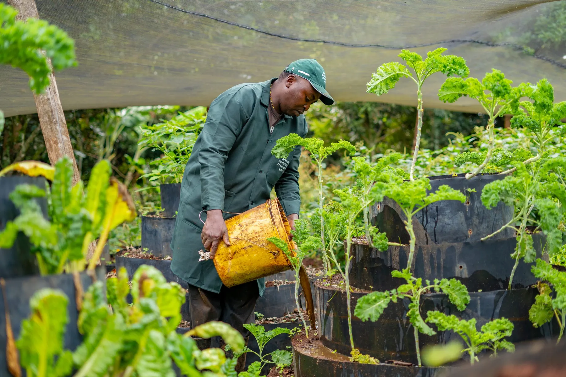 Hands-on nursery work at the Kilimore4CUS model farm